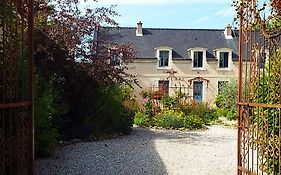 Les Roses De Montherlant